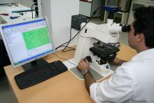 Εργαστηριακοί έλεγχοι